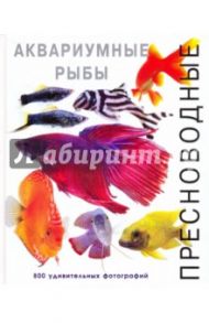 Пресноводные аквариумные рыбы / Роджерс Джофф, Флетчер Ник