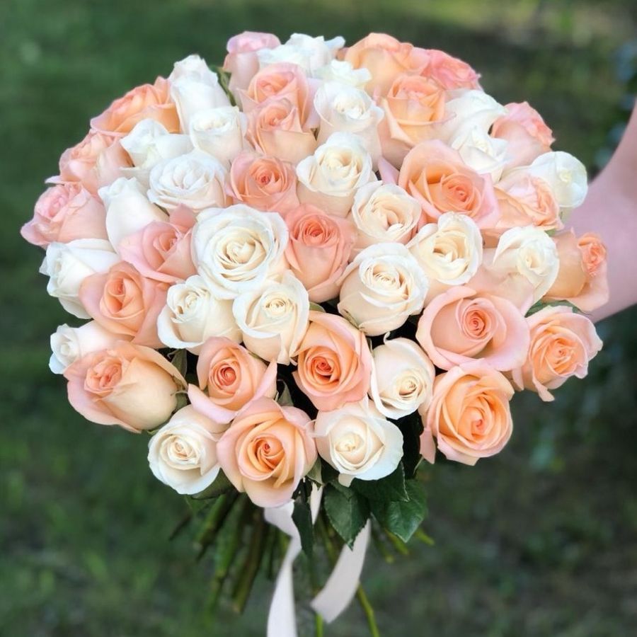 51 роза Эквадор 60 см бело-персиковый микс