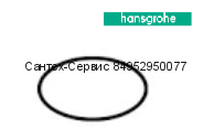 98193000 Уплотнительное кольцо Hansgrohe