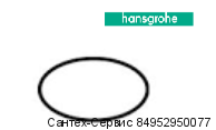 98193000 Уплотнительное кольцо Hansgrohe