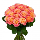 Персиковые розы "Мисс Пигги" (Россия 50, 60, 70 см).