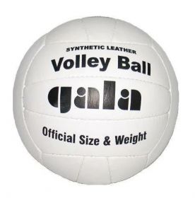 Мяч волейбольный GALA official size