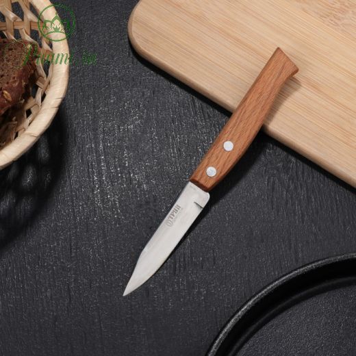 Нож кухонный «Ретро», для овощей, лезвие 8 см, с деревянной ручкой, цвет бежевый