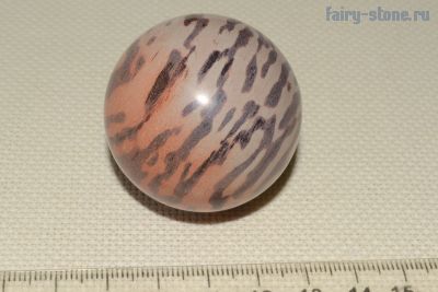 Зебровый камень (Аргиллит) (40.5мм)