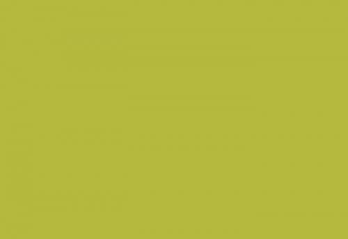 HPL-панель фасадная LM 0016 Зелено-желтый лайм (ФАСАД)