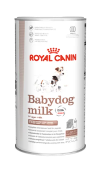 Babydog milk