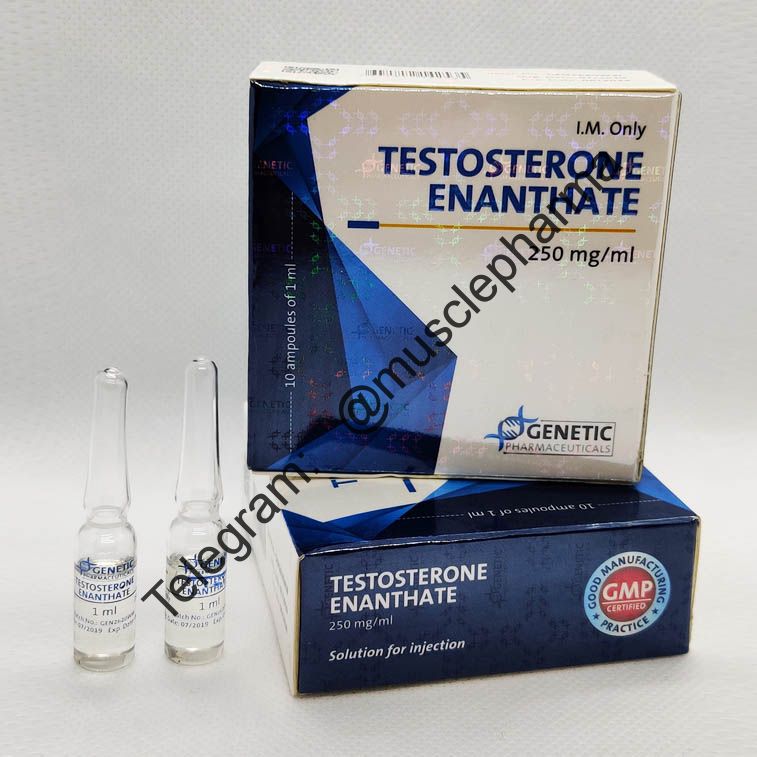 Testosterone Enanthate (ЭНАНТАТ). Genetic. 1 ампул * 1 мл.