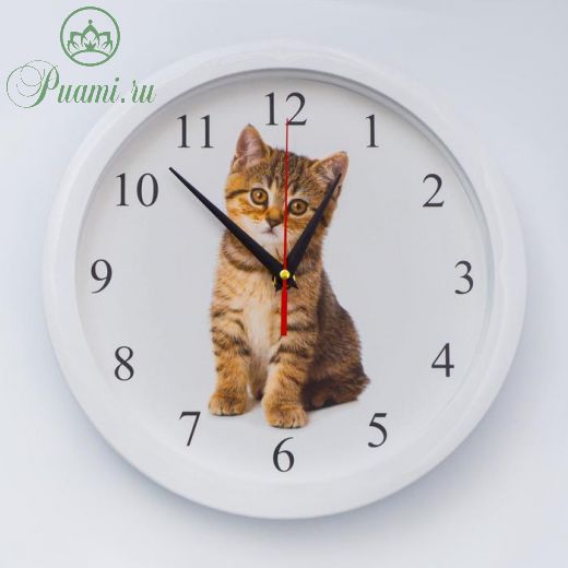 Часы настенные, серия: Животный мир, "Котенок", плавный ход, d=28 см