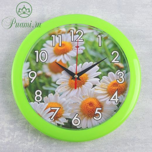 Часы настенные, серия: Цветы, "Ромашки", зеленое кольцо, 23  см, микс