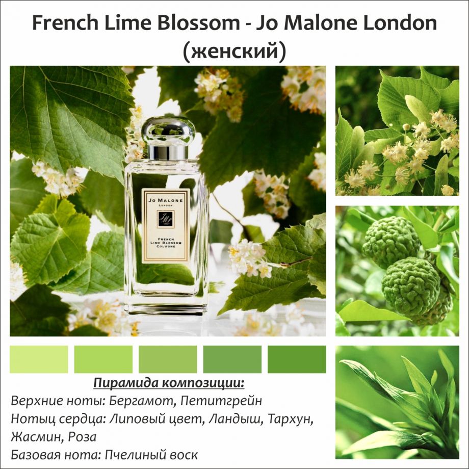~French Lime Blossom (w) ~