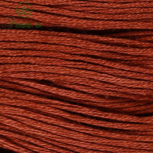 Нитки мулине, 10 ± 1 м, цвет коричневый №5812