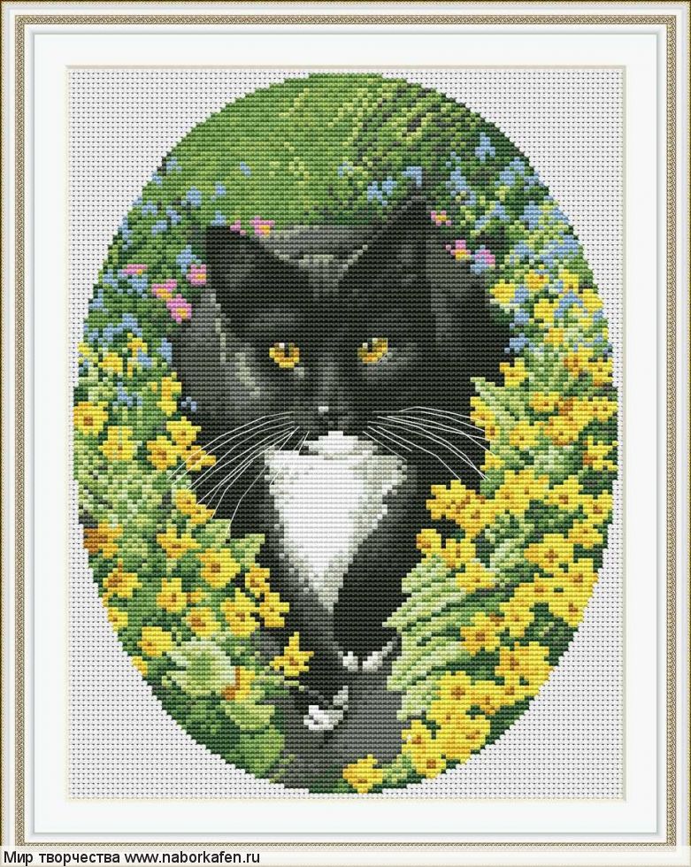 Набор для вышивания "Black and white cat"