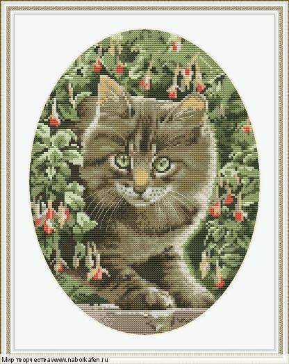 Набор для вышивания "Tabby Kitten"