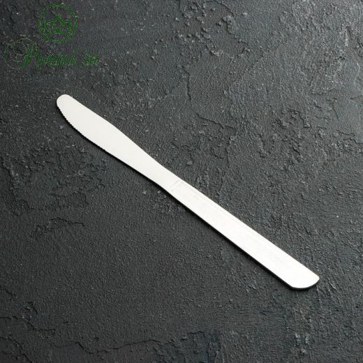 Нож столовый Доляна «Пулкин», 20,6 см, толщина 2 мм