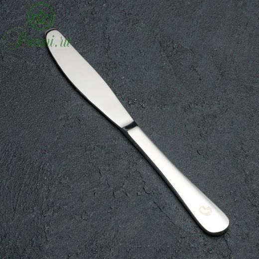 Нож столовый Доляна «Таун», h=22,5 см