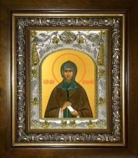 Икона Анна Новгородская преподобная (14х18)