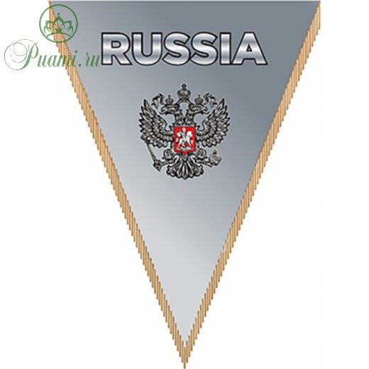 Вымпел треугольный RUSSIA фон серый, 260х200 мм, цветной, Skyway