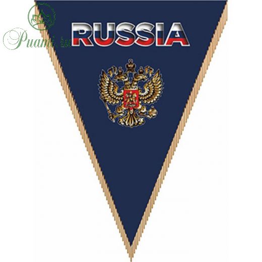 Вымпел треугольный RUSSIA фон синий, 260х200 мм, цветной, Skyway
