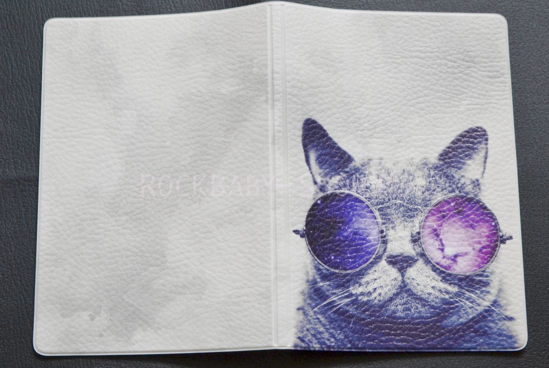 Обложка на паспорт Коть в очках