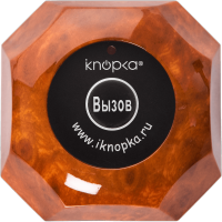 Кнопка вызова iKnopka APE560 | «Торгтех-Сервис»