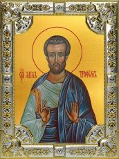 Икона Трофим апостол от семидесяти (18х24)