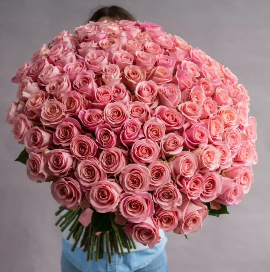 Розы Пудровые (60 см)