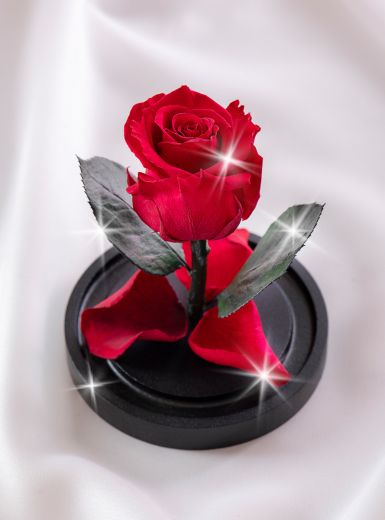 Роза в колбе микро красная