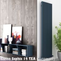 вертикальный радиатор Carisa Sophia 1800 TXA