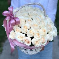 51 белая роза 50 см в корзине