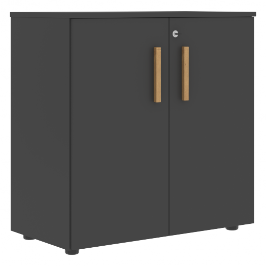 FORTA Шкаф с глухими малыми дверьми FLC 80.1(Z)