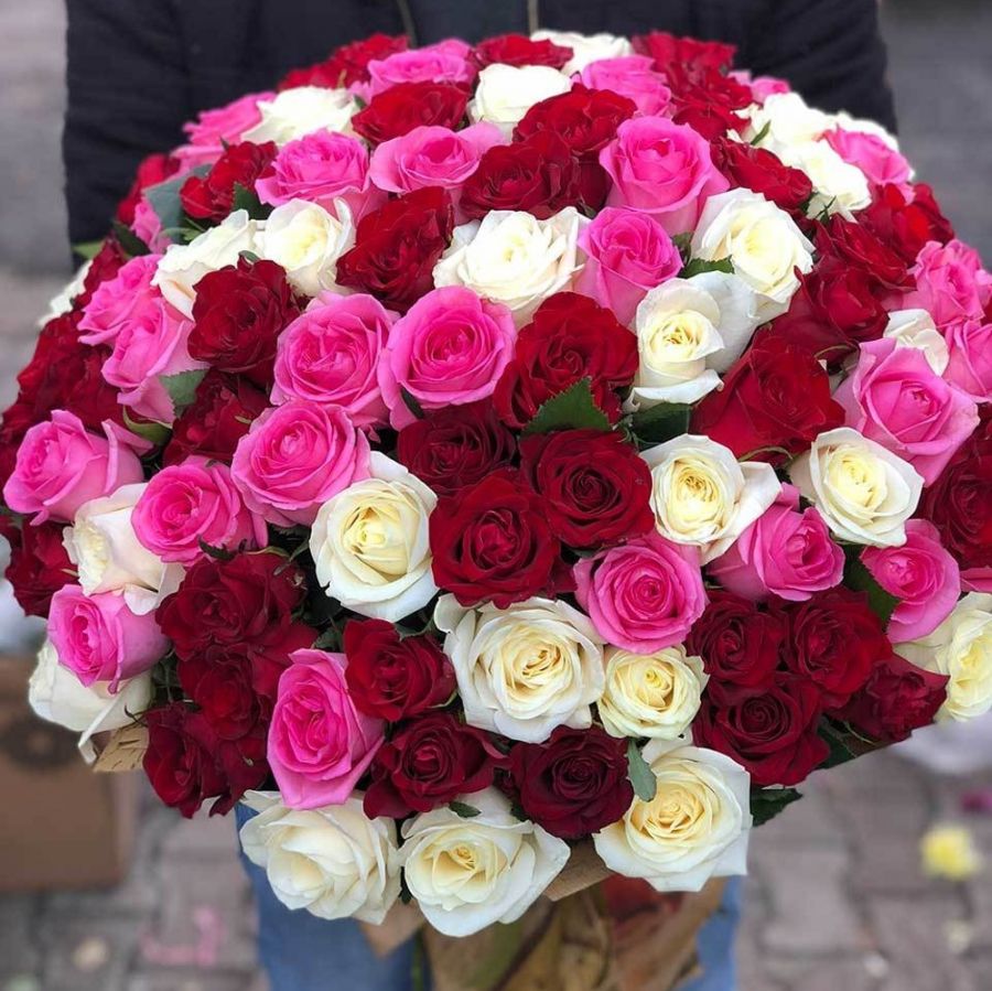101 красно-бело-розовая роза 60-70 см