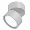 Потолочный светильник Maytoni Technical Onda C024CL-L12W4K Белый, Алюминий