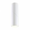 Потолочный светильник Maytoni Technical Dafne C027CL-L10W Белый, Алюминий