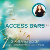Access Bars (Ольга Кононенко, Катерина Голосова)