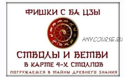 Фишки с бацзы Стволы и ветви. Структурный анализ. Потоки ци в карте бацзы (Юрий Сбитнев)