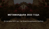 МетаМандала 2022 года (Ирина Бердина)