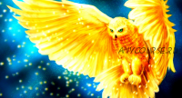 [Sigh Energy] Божественная сова Divine Owl Powerful Plus +11x (Extra Strong)