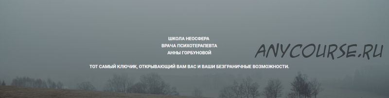 [Школа Неосфера] Курс 'Деньги' - пакет База (Анна Горбунова)