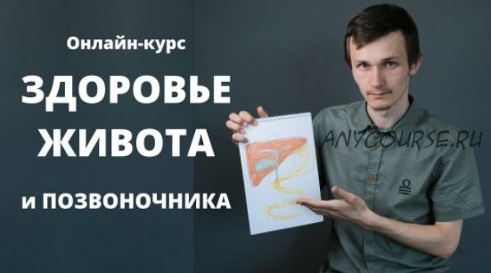 Здоровье живота ипозвоночника. Тариф самостоятельный (Антон Шахманов)