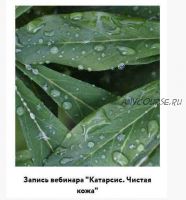 [broccoliblog] Катарсис. Чистая кожа (Настя Озерова)