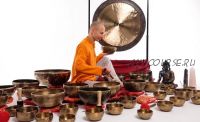 [Udemy] Обучающий курс по работе с тибетскими поющими чашами (Мария Радионова)
