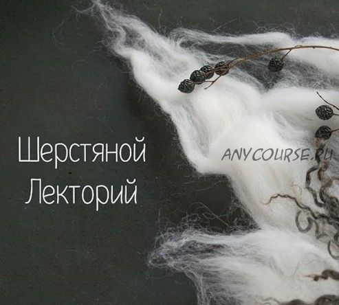 [Валяние] Шерстяной лекторий (wool_lect)