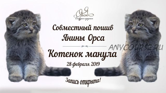 Совместный пошив «Котенок манула» (Янина Орса)