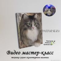 Видео мастер класс. Портрет кота (Наталья Черенцова)
