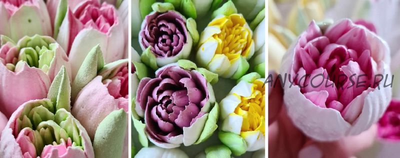 Махровые зефирные тюльпаны + сборник зефирного флориста (Ляйсян Казыргалина)