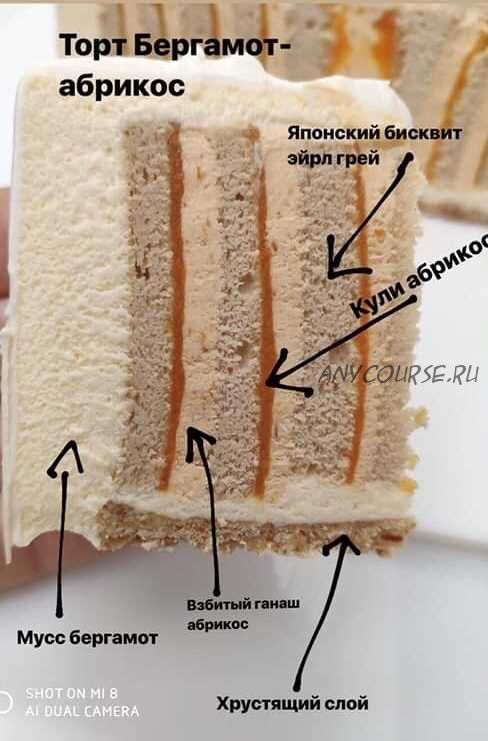 [Кондитерка] Торт 'Бергамот-абрикос'. Рецепт (Светлана Кошкина)