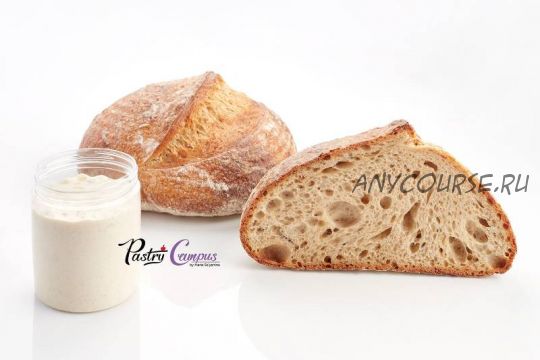 [Pastry Campus] Пшеничный хлеб на закваске и багет (Мария Селянина)