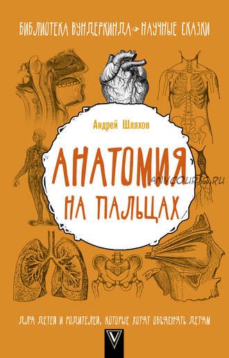 Анатомия на пальцах. Для детей и родителей, которые хотят объяснять детям (Андрей Шляхов)