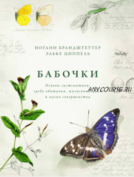 Бабочки: Основы систематики, среда обитания, жизненный цикл и магия совершенства (Иоганн Брандштеттер, Эльке Циппель)