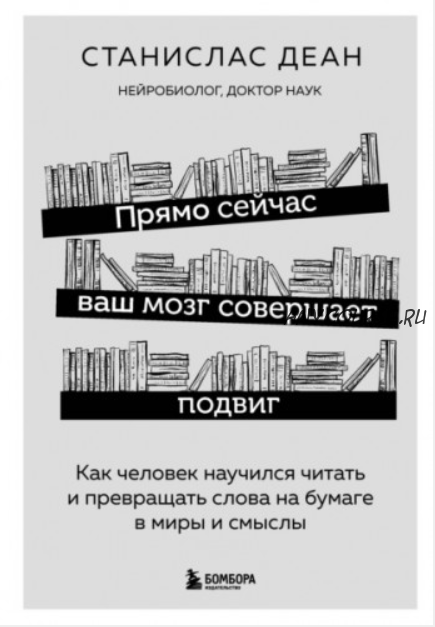 Прямо сейчас ваш мозг совершает подвиг: как человек научился читать и превращать слова на бумаге в миры и смыслы (Станислас Деан)